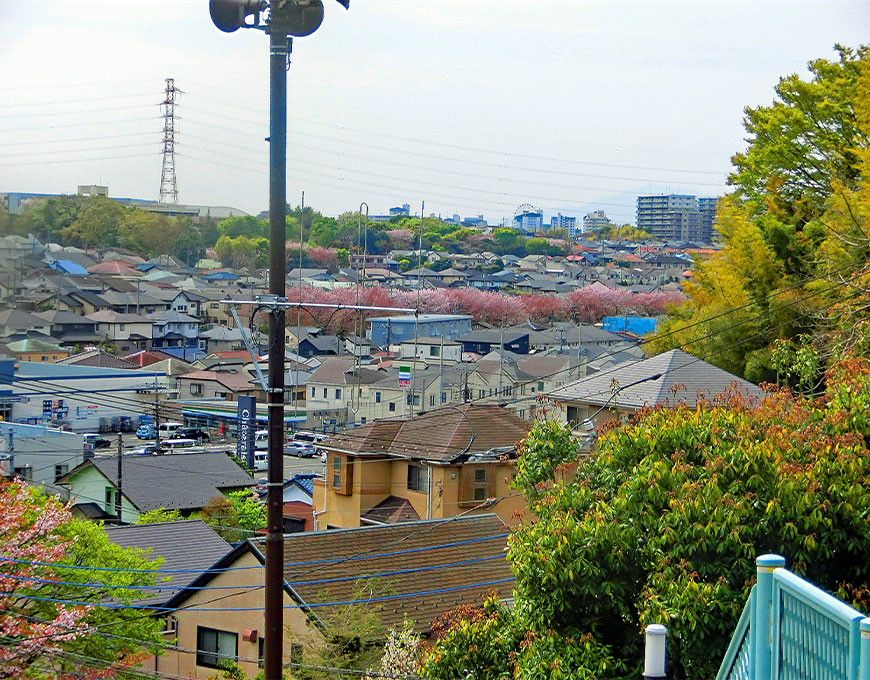 地域密着の信頼性